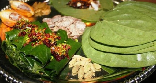 দৈনিক পান খেলে যে উপকার পাবেন, এখুনি জেনে নিন।।