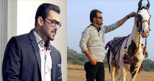 ঘোড়ার দাম বললেন দুই কোটি, সালমান খানকে ‘না’ বলে দিলেন মালিক