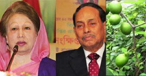 জেলখানার সেই বরই গাছ নিয়ে এবার এ কী বললেন এরশাদ!