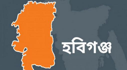 হবিগঞ্জে কুকুর বালি খুঁড়ে বের করল গৃহকর্তার ছেলের লাশ!