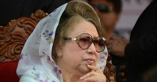 বেগম জিয়ার পরিবার – বিএনপি মুখোমুখি