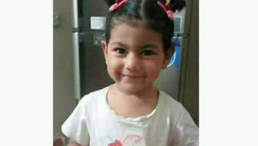 নেপালে বিধ্বস্ত ফ্লাইটের কেবিন ক্রুর কন্যা অপহৃত!