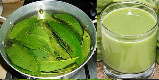 জেনে রাখুন” পেয়ারা পাতা দিয়ে বানানো চা পান করলে কী হয়। ম্যাজিকের মত মুক্তি মিলবে...(বিস্তারিত)