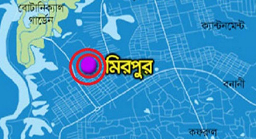 মিরপুরে গৃহকর্মীর ঝুলন্ত লাশ উদ্ধার