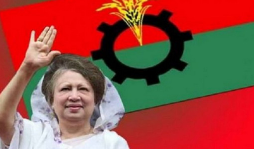 নতুন বছরে বিজয় চায় বিএনপি