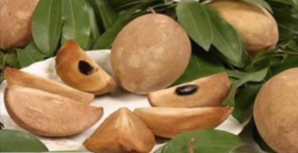 ক্যান্সারের মতো রোগকেও প্রতিরোধ করে সফেদা !!