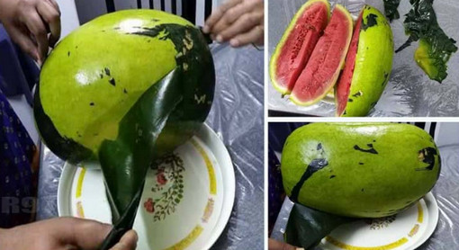 সাবধান ! বাজারে ঢুকছে প্লাস্টিকের প্রলেপ দেয়া তরমুজ...
