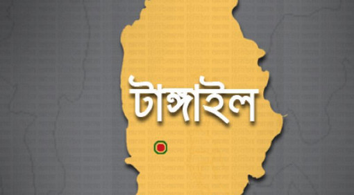 টাঙ্গাইলে ঘুমন্ত মাকে কুপিয়ে হত্যা করল পাষণ্ড ছেলে