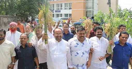 স্থগিতের পর আবারো প্রচারণায় বিএনপির মেয়র প্রার্থী মঞ্জু