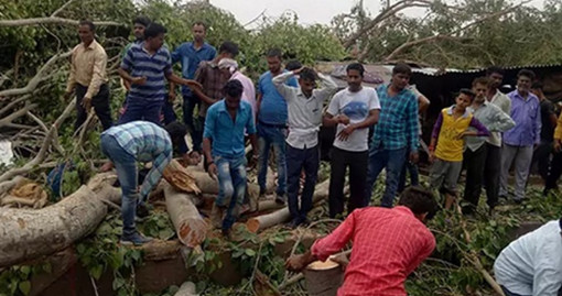 ভারতের, উত্তর প্রদেশে ধূলিঝড়ে নিহতের সংখ্যা বেড়ে ১২৫