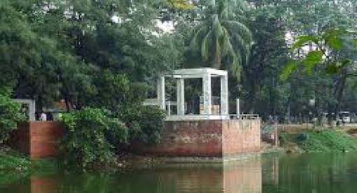 গাছের নিচে পড়ে প্রধানমন্ত্রীর কার্যালয়ের কর্মকর্তার করুণ মৃত্যু