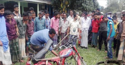 টাঙ্গাইলে বাইকের ভেতর মিলল সাপের বাসা!
