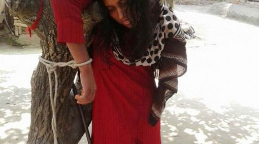 কালিগঞ্জে গৃহবধুকে গাছের সাথে বেঁধে নির্যাতন ভিডিও সহ