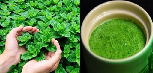 ইফতারিতে রাখুন ‘মহৌষধ’ পুদিনা পাতা