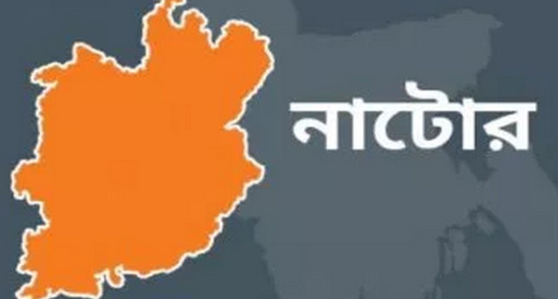 নাটোরে হেড ফোনের কারণে নববধূর আত্মহত্যা