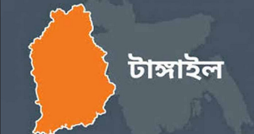 জগন্ন্য ঘটনার সাক্ষী হলো টাঙ্গাইল! গৃহবধুকে ওষুধ খাইয়ে দফায় দফায় ধর্ষণ