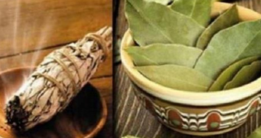 ঘরে জাস্ট কয়েক’টা তেজপাতা জ্বালান, ১০ মিনিট পর দেখুনই না কী হয়