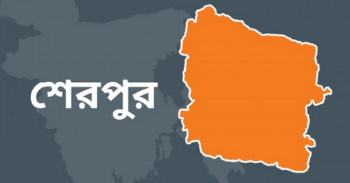 শেরপুরে টিউবয়েল থেকে অলৌকিক ভাবে বের হচ্ছে পানি,এলাকাবাসীর একি কান্ড!