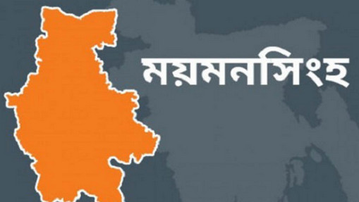 ময়মনসিংহে চাচাতো বোনকে ধর্ষণ, ভিডিও ফেসবুকে
