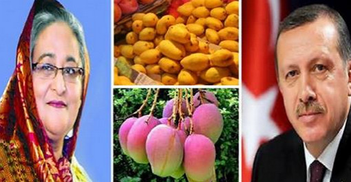 এরদোগানকে আড়াই মণ মৌসুমী ফল ‘আম’ উপহার দিলেন প্রধানমন্ত্রী!