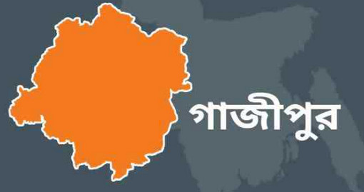 গাজীপুরে শ্যালিকার মাথা ব্যথা দুলাভাইয়ের দেয়া ওষুধে অচেতন,রাতে গণধর্ষণ!