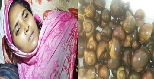অবিশ্বাস্য হলেও সত্য, রাজবাড়ীতে নারীর নাভি দিয়ে একের পর এক বের হচ্ছে শামুক!