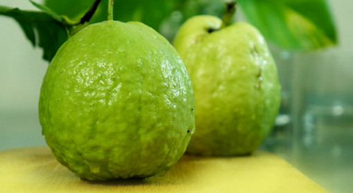 প্রতিদিন একটি করে পেয়ারা খেয়েই দেখুন