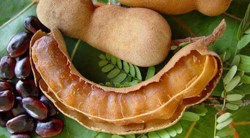 সপ্তাহে ৩ দিন তেঁতুল খেলে কি হয় জানেন?