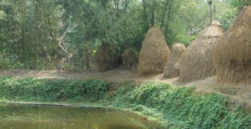পারিবারিক ঝগড়া অতঃপর পুকুরে ডুবে আত্মহত্যা