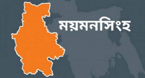 ময়মনসিংহে দুলাভাইকে মারধর করে যুবতীকে গণধর্ষণ